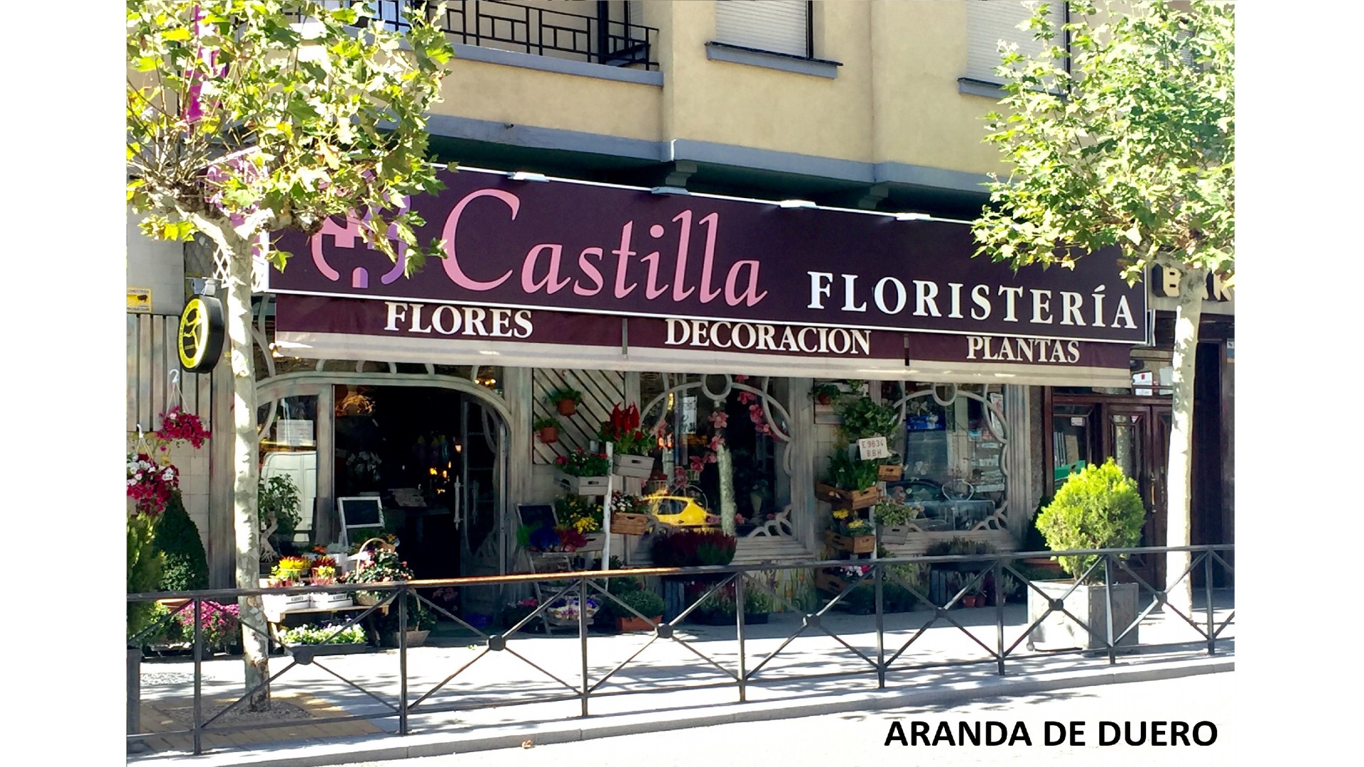 Castilla Floristería