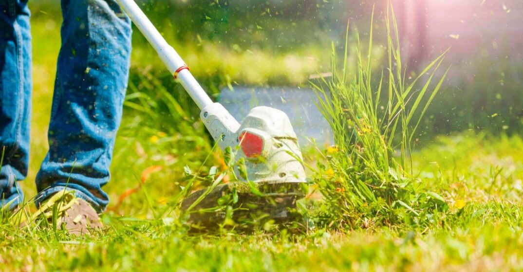 Jardinera-Solivera-persona-podando-jardin