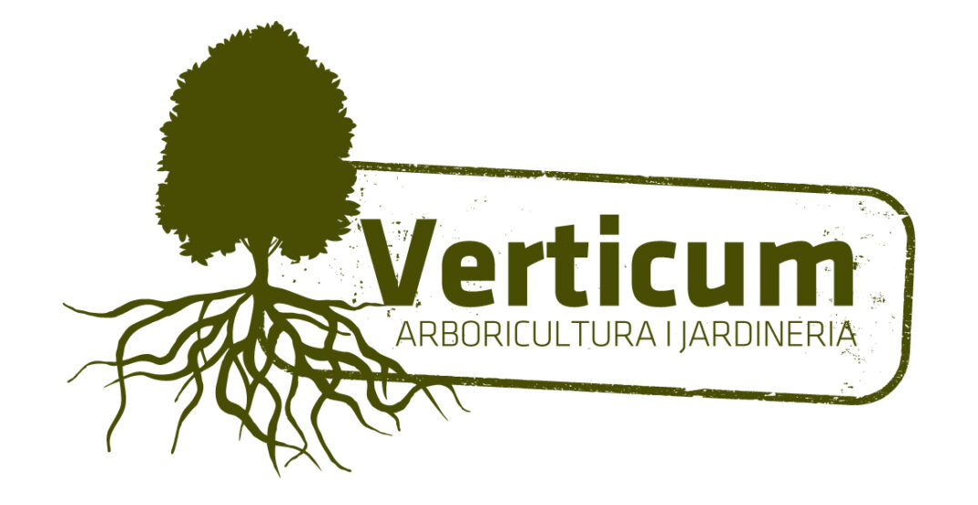 LOGO-1.jpg
