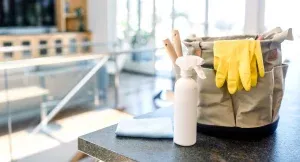 cleaning-services-15-300×162