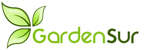 cropped-logoBanner