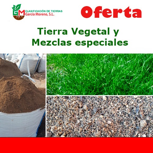 oferta_1_agosto_2024