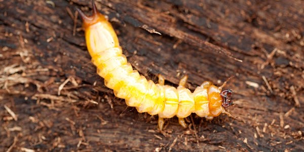 xr:d:DAFNUlG3h9s:34,j:1799545199,t:23011206