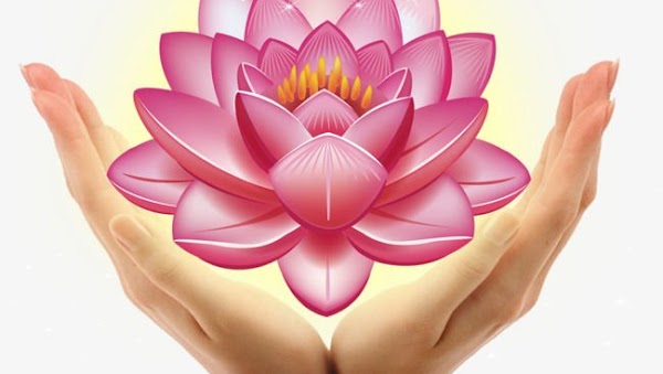 FENGSHUI Naturashui