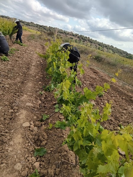 Lanagro Servicios