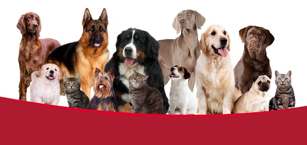 Arion PetFood