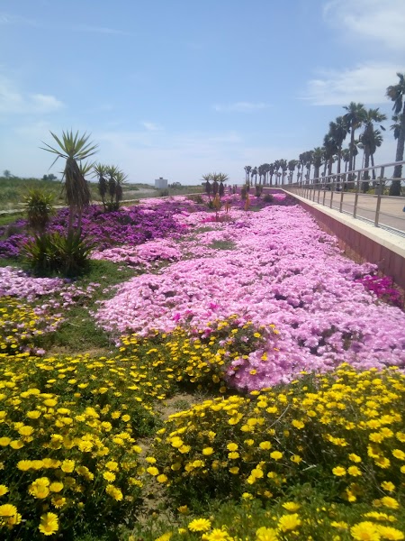 Desaladora de Almería