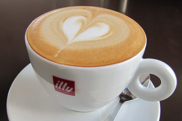 distribuidor oficial illy clubdecafe