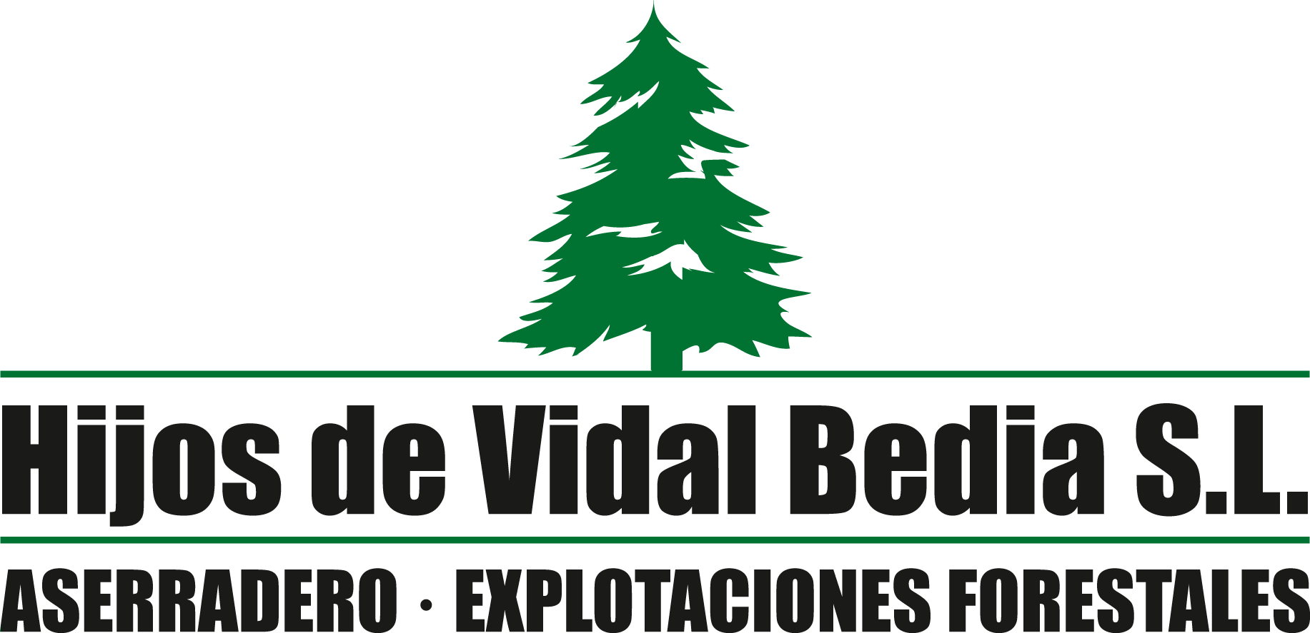 Hijos de Vidal Bedia