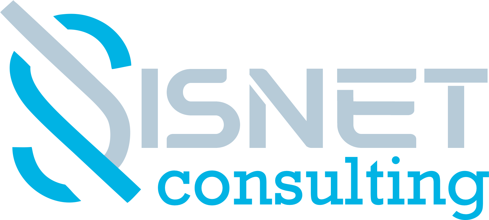 Sisnet Consulting