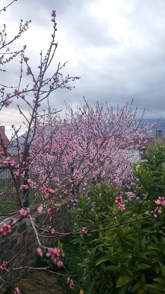 HDR Bracket = 0,12,-10 FaceNum=0 FocusArea=111111111