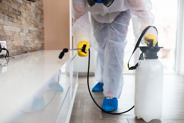 Exterminator in work wear spraying pesticide with sprayer.