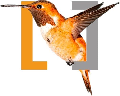 Agencia SEO Madrid – SeDigital