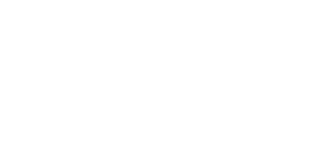 vila-logo-header.png