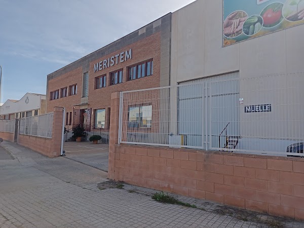 {«capture_mode»:»AutoModule»,»faces»:[]}