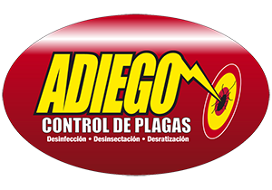 Logotipo-con-parche.png
