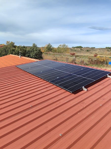 media-541.jpg