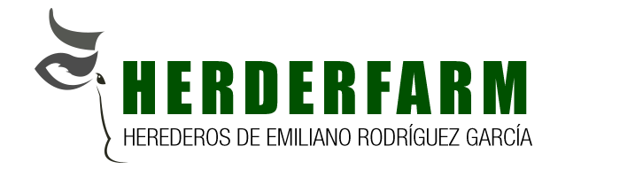 477351-logo.png