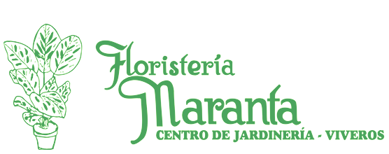 735030-Floristera-Maranta-Viveros-logo-402w.png