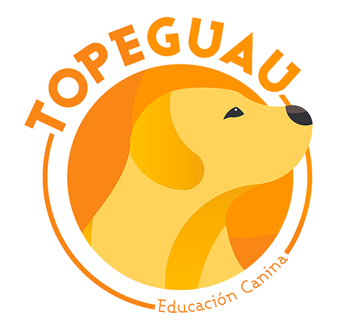 Alejandro-Alvarez-logo__msi___png.png