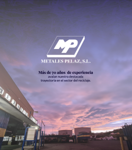 Captura-de-pantalla-2024-01-10-a-las-10.43.19-264×300-1.png