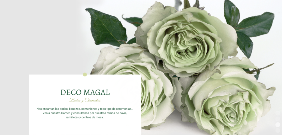 Jardineria_en_leon_Jardineria_Magal.png