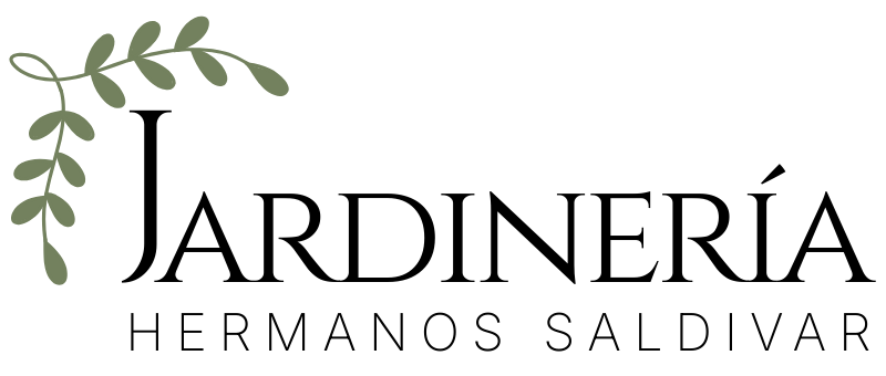 Logo-Hermanos-Saldivar.png