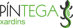 Logo_Pintega_57.png
