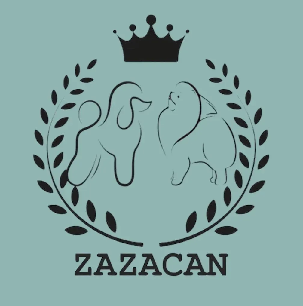 YYu5zNyGV5d3pe5KUwxFvMk0TAUj6ta8szSvWglf-1920w.webp