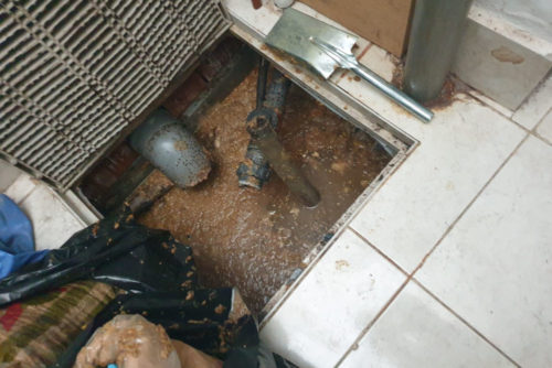 bomba-500×334-1.jpg