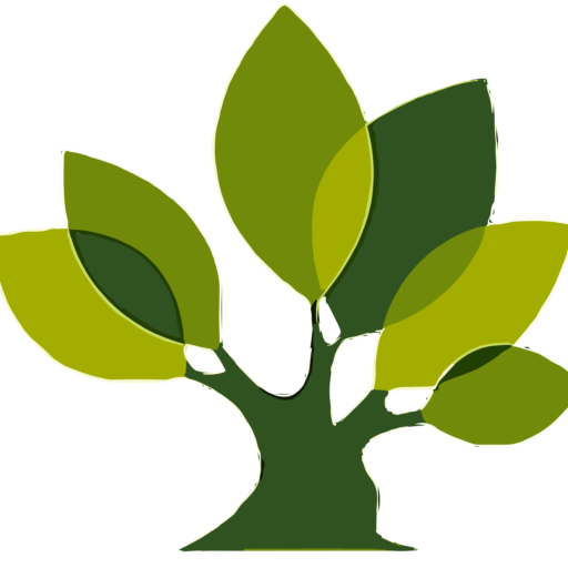 cropped-Proyecto_nuevo-transformed-1.png