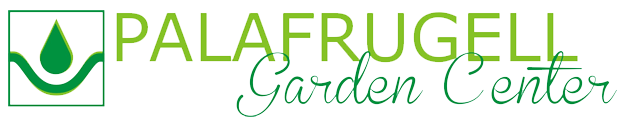 logo-22.png