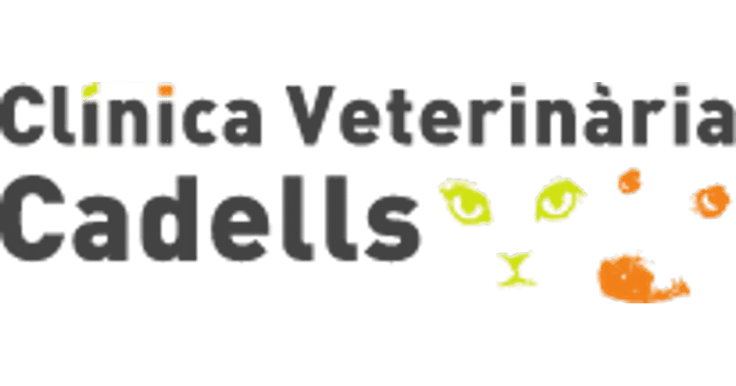 logo-header-2315661.png
