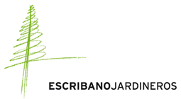 logo.gif