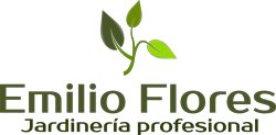 logo1.png