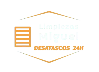logo__msi___png-339w.webp