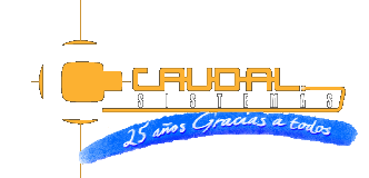 logo_caudal_sistemas_top.png