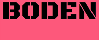 logogoogle.webp