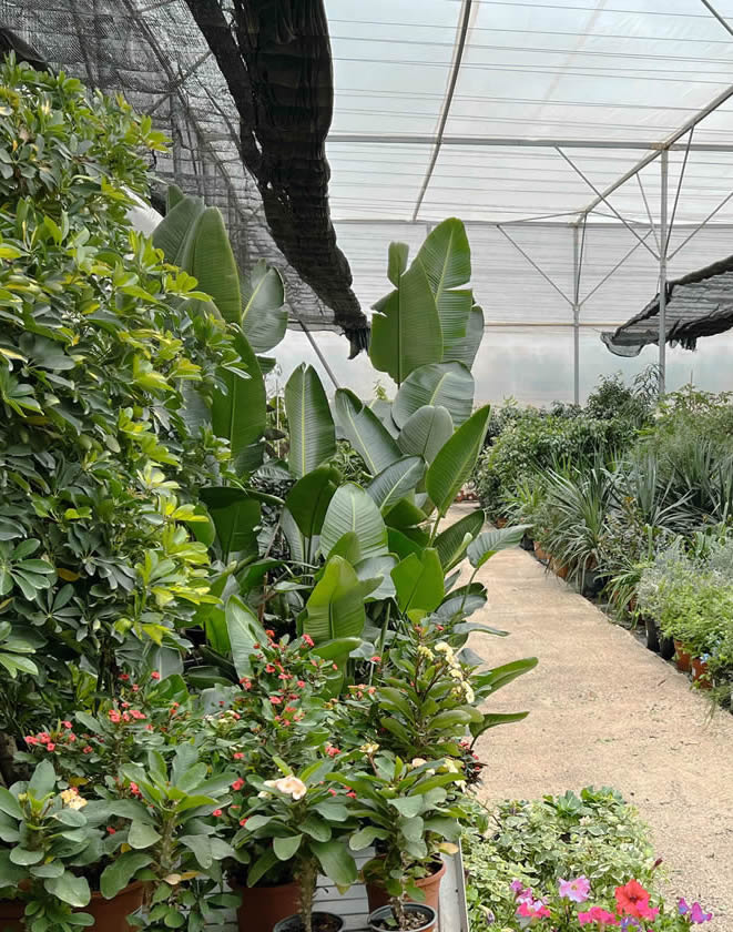 plantas_exterior_2.jpg