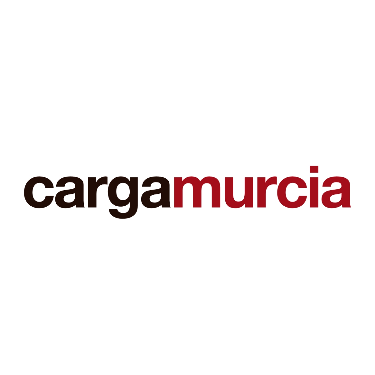 Cargamurcia – Instalación de cargadores de coche eléctrico en Murcia