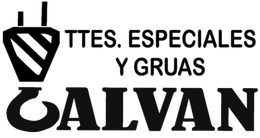 transportes-galvan-logo__msi___png-256w.png