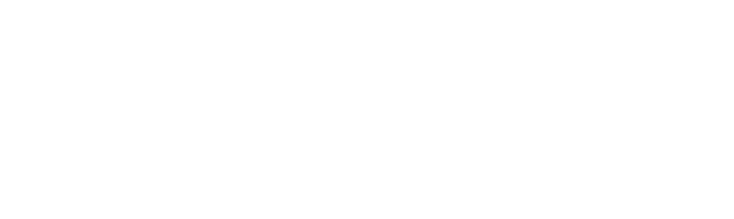 Vertisub Seguridad