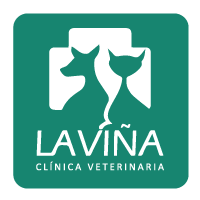 web_logo_vina1-2.png