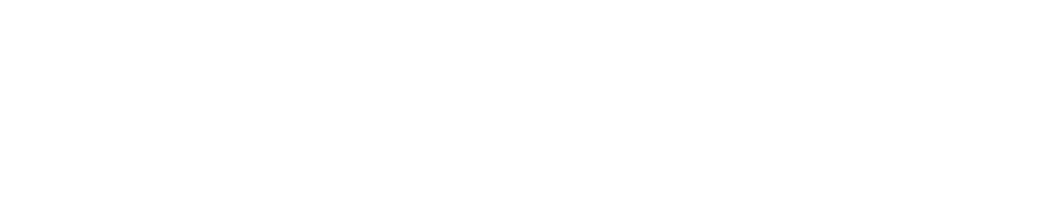 ESPARREGUERA-INDUSTRIAL-DE-MANUTENCIO-SL-1.png