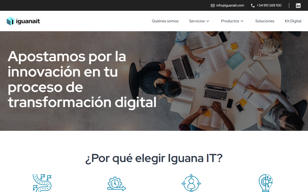 IGUANA-INFORMATION-TECHNOLOGIES-SL-captura-2.png