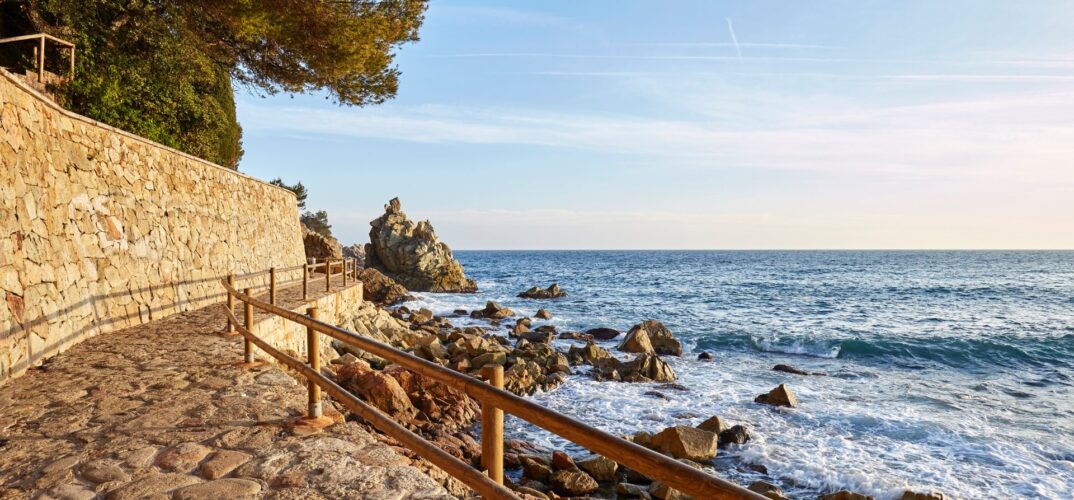 LLORET-FUTUR-SOCIEDAD-ANONIMA-1.jpg
