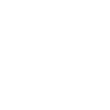 NEOCHECK-SL-2.png