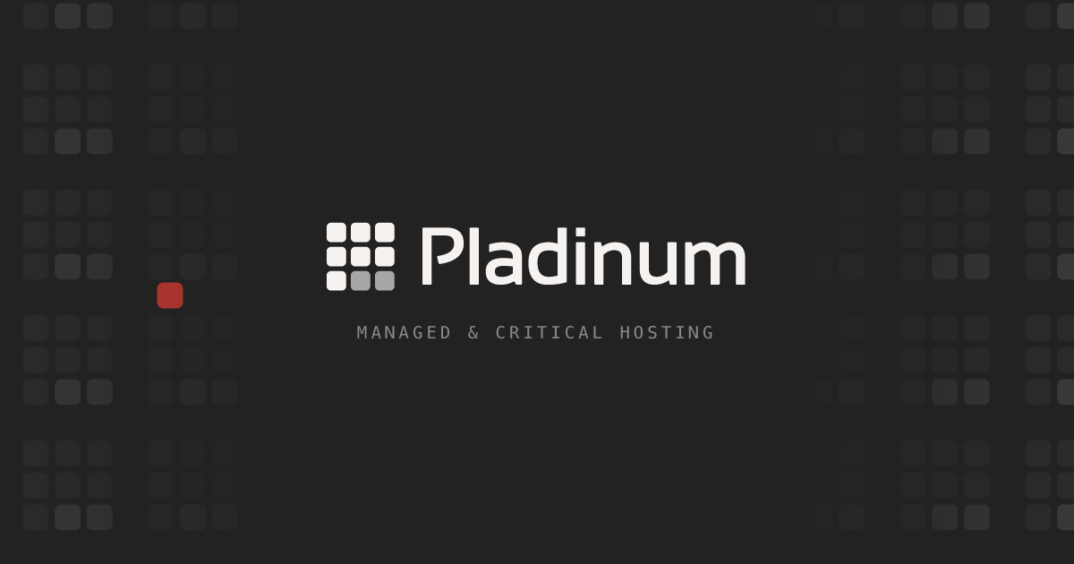 PLADINUM-GROUP-SL-2.png