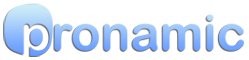 PRONAMIC INGENIEROS INFORMATICOS SRL LABORAL