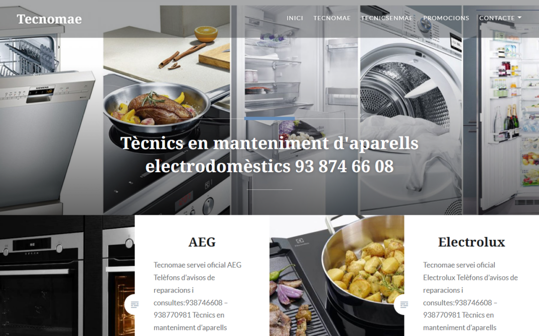 TECNICS-EN-MANTENIMENT-D-APARELLS-ELECTRODOMESTICS-SL-captura-1.png